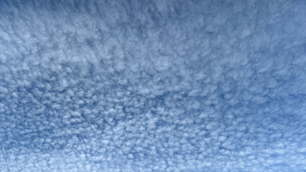 November Emerges; Onwards and Upwards!