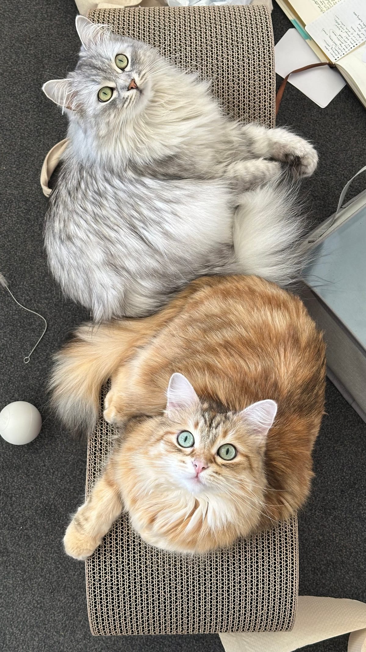 Happy February-- time for heart containers!