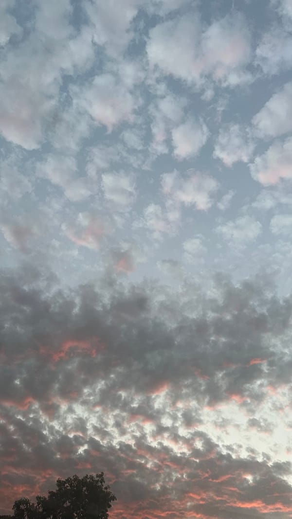 (old!) secret october show and tell