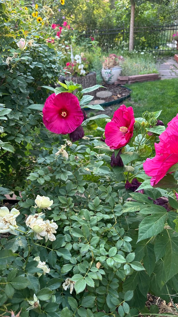 September is Coming!