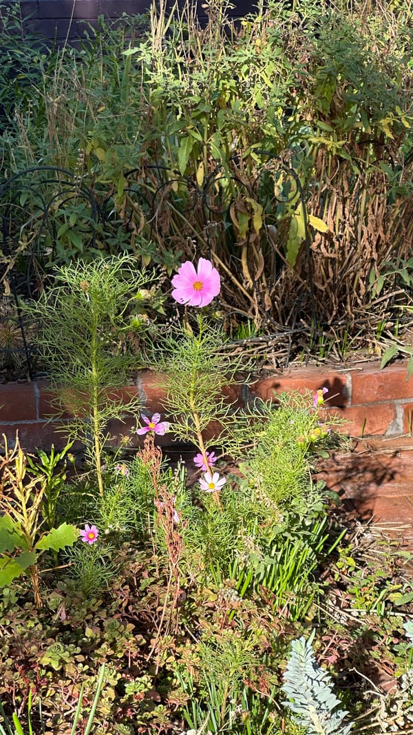 secret september show and tell