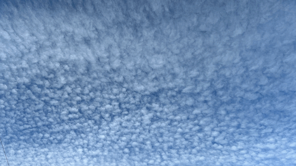 November Emerges; Onwards and Upwards!